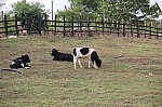 3239.jpg 3239.jpg