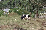 3241.jpg 3241.jpg