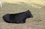 3246.jpg 3246.jpg