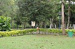 3299.jpg 3299.jpg