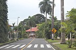 3339.jpg 3339.jpg