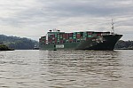 3381.jpg 3381.jpg