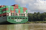 3393.jpg 3393.jpg