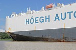 3449.jpg 3449.jpg