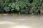 3502.jpg 3502.jpg