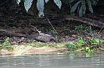 3504.jpg 3504.jpg