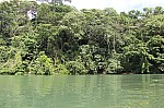 3619.jpg 3619.jpg