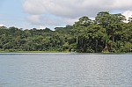 3633.jpg 3633.jpg