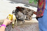 3686.jpg 3686.jpg