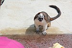 3703.jpg 3703.jpg