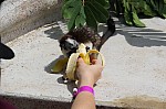 3704.jpg 3704.jpg