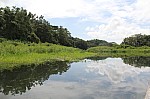 3729.jpg 3729.jpg