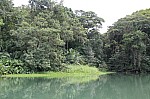 3740.jpg 3740.jpg