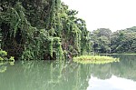 3749.jpg 3749.jpg