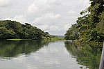 3768.jpg 3768.jpg