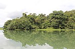 3781.jpg 3781.jpg