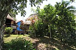 3917.jpg 3917.jpg
