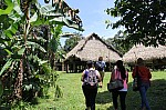 3928.jpg 3928.jpg