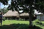 3929.jpg 3929.jpg