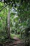 3981.jpg 3981.jpg