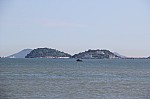 4161.jpg 4161.jpg