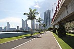 4167.jpg 4167.jpg