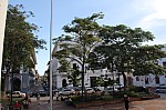 4309.jpg 4309.jpg