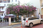 4386.jpg 4386.jpg