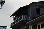 4410.jpg 4410.jpg
