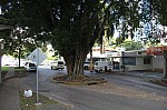 4421.jpg 4421.jpg