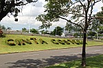 4441.jpg 4441.jpg