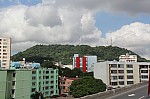 4452.jpg 4452.jpg