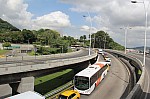 4459.jpg 4459.jpg