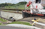 4552.jpg 4552.jpg