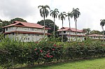4609.jpg 4609.jpg