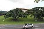 4631.jpg 4631.jpg