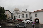 5096.jpg 5096.jpg