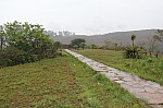 5239.jpg 5239.jpg