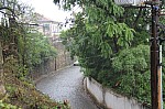 5250.jpg 5250.jpg