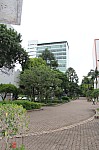 5392.jpg 5392.jpg