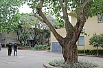 5435.jpg 5435.jpg