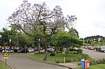 5454.jpg 5454.jpg