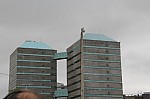 5596.jpg 5596.jpg