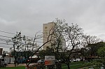 5646.jpg 5646.jpg
