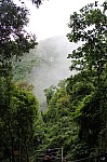6017.jpg 6017.jpg