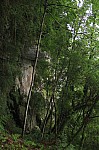 6019.jpg 6019.jpg