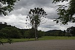6424.jpg 6424.jpg
