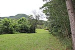 6515.jpg 6515.jpg