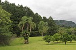 6526.jpg 6526.jpg