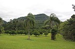 6528.jpg 6528.jpg